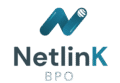 Netlink logo